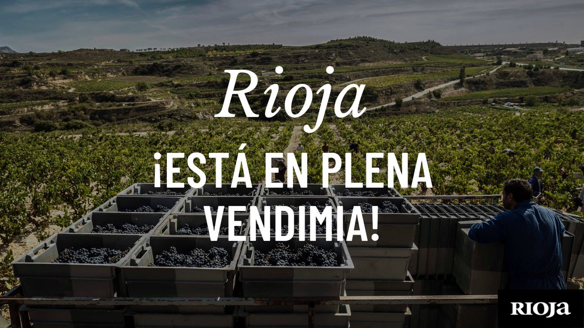 ¡Rioja está en plena vendimia! 🍇 Y, para celebrarlo, mañana nos juntaremos en la Fiesta de la Vendimia de la Denominación de Origen Calificada Rioja donde las experiencias más premium estarán aseguradas para que el disfrute sea, después de la vid, el principal protagonista.