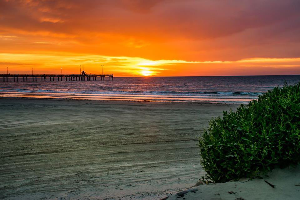 TDCAA's tweet photo. Another successful seminar is in the books. Adios &amp; safe travels to all who joined us in lovely #CorpusChristi for our 2022 Annual Conference! https://t.co/eonTFu2dpK