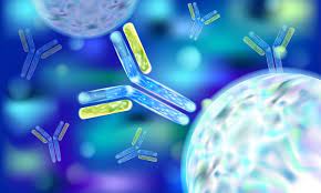 john51913288's tweet photo. #Immunology2023 is an event offering to conduct presentations, distribute information and  meet with potential scientists.
Register now to reserve your slot!
https://t.co/nTPczEcob5
Only few slots available
✈️Vienna, Austria
📆May 24-25, 2023
📲+44 7897073589 https://t.co/CQMpW6Da2a