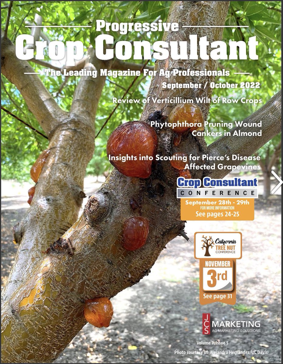 Alejandro Hernandez (@alejand09264579) on Twitter photo Our article on Phytophthora Pruning Wound Cankers in Almond is out now <a href="/FloTrouillas/">Florent Trouillas</a>! My photo made the cover! bit.ly/3ffJxYI Our article on Phytophthora Pruning Wound Cankers in Almond is out now <a href="/FloTrouillas/">Florent Trouillas</a>! My photo made the cover! bit.ly/3ffJxYI