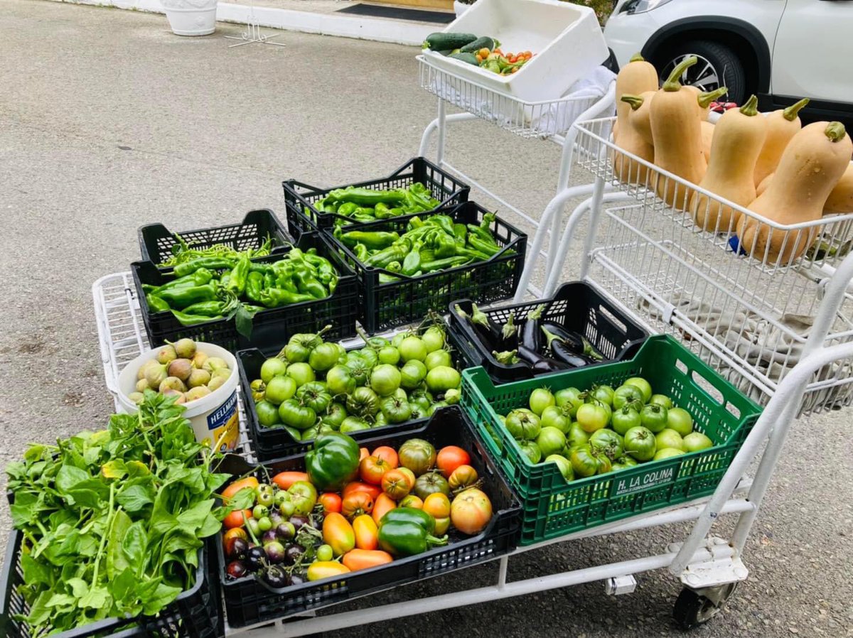 Que maravilla de productos nos da la huerta #cantabria #mesondeborleña #Gastronomia #comerencantabria #healthytwt