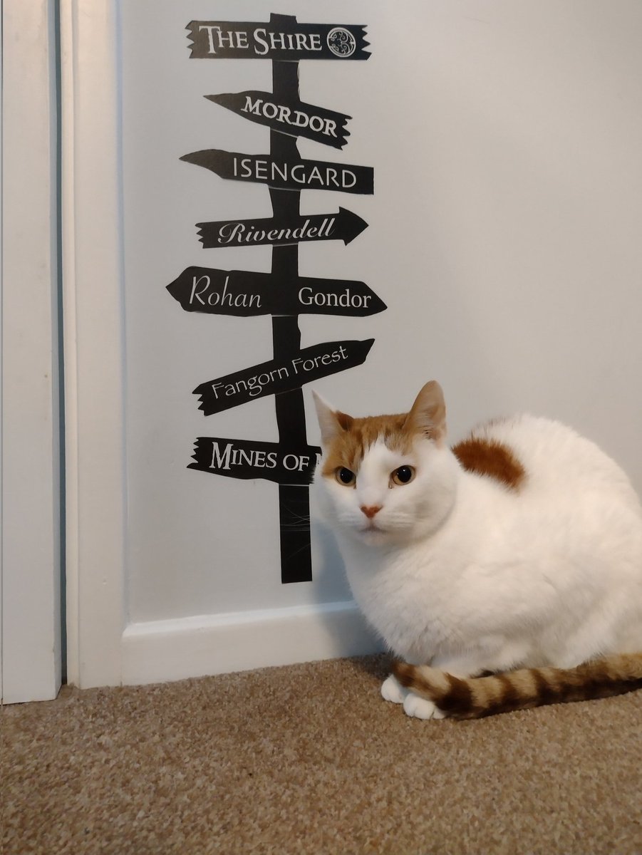 One does not simply walk into Mordor. #lotr #Tolkien #thecatswetweet