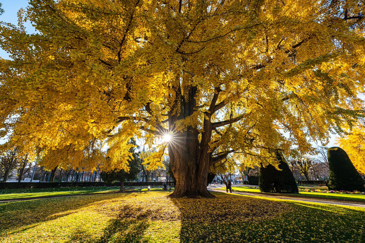 Cédrιc tweet media