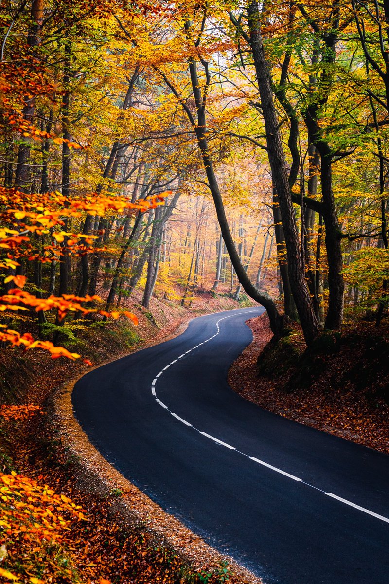 Cédrιc tweet media