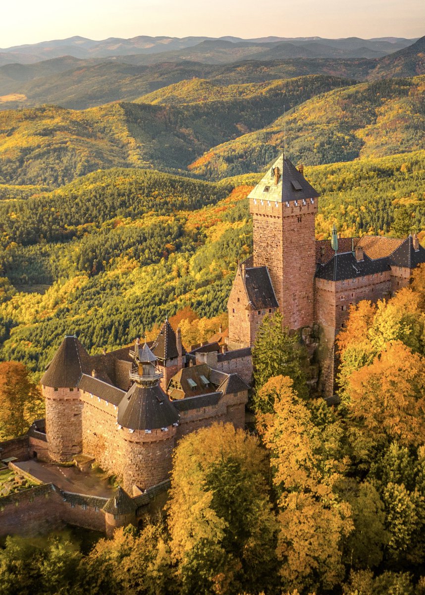 Cédrιc tweet media