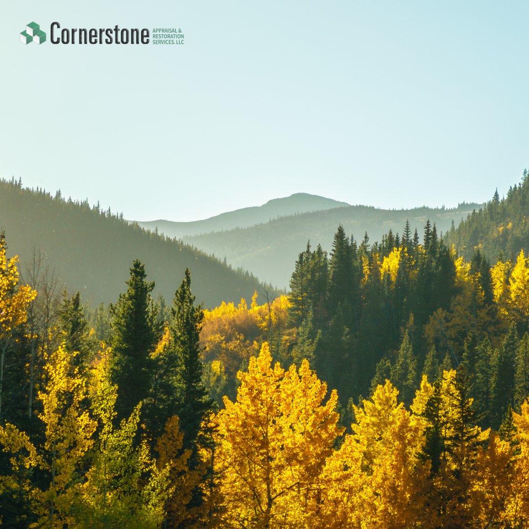 CornerstoneNJ's tweet photo. Sometimes, the seasons change pretty suddenly! It's always important to be prepared, in order to avoid costly repairs and aggravation. https://t.co/txjLQ6k209 https://t.co/NOyRKz6qgx