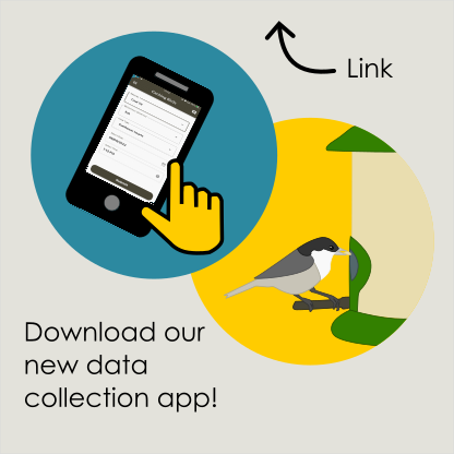 Vera Vinken (@veravinken) on Twitter photo NEW: data collection app
Please RT. Help <a href="/SmuldersLab/">Smulders Lab</a> with our garden bird observation project. 🐦 Recording your data is quick and easy with our new mobile application! 📱
Download here:
- iOS: apps.apple.com/gb/app/caching…
- Android: play.google.com/store/apps/det…
More info in bio! NEW: data collection app
Please RT. Help <a href="/SmuldersLab/">Smulders Lab</a> with our garden bird observation project. 🐦 Recording your data is quick and easy with our new mobile application! 📱
Download here:
- iOS: apps.apple.com/gb/app/caching…
- Android: play.google.com/store/apps/det…
More info in bio!
