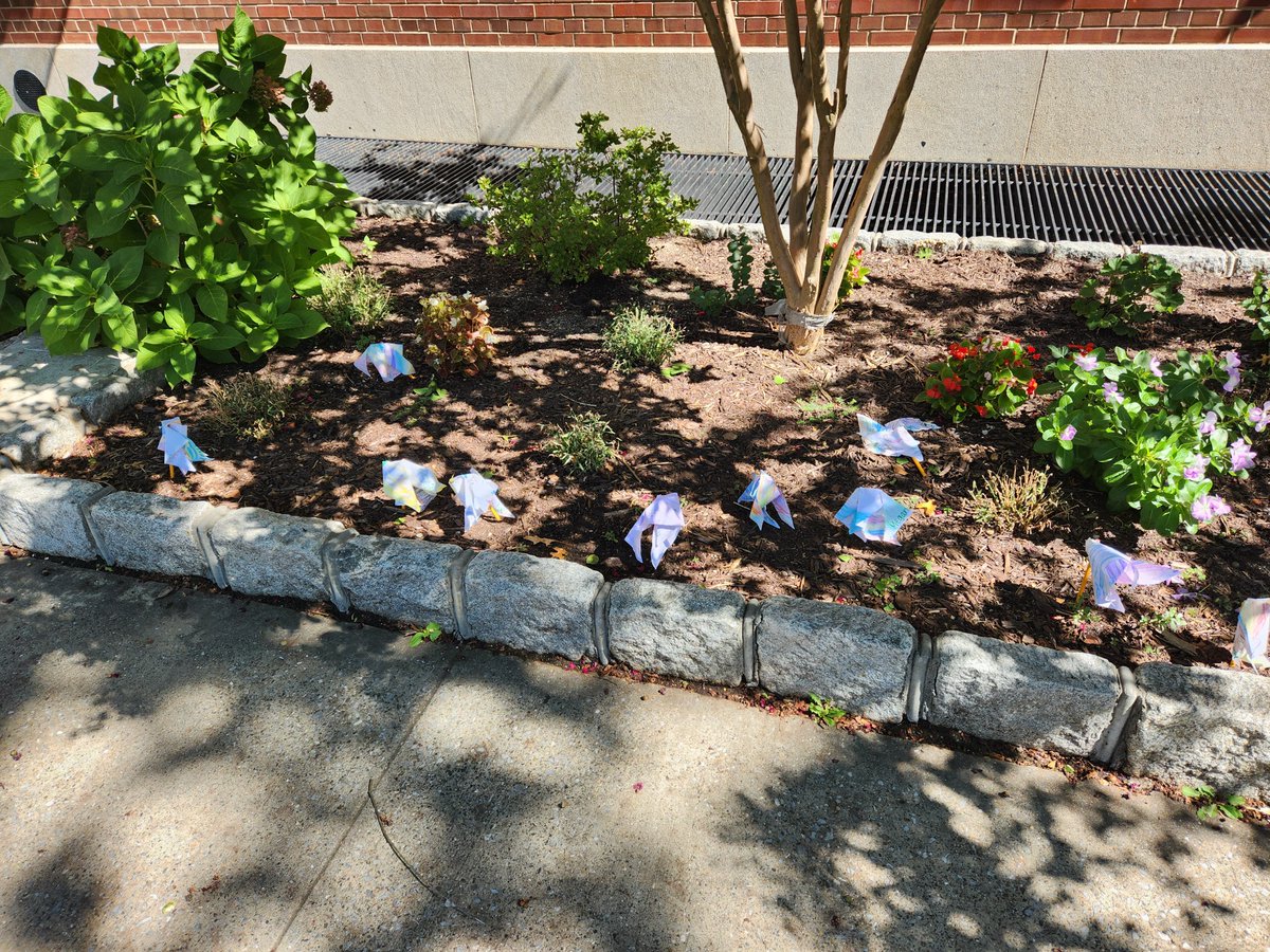 KevinBurke115's tweet photo. Our Kindergarteners created pinwheels in recognition of International Day of Peace/Gratitude Day. Outdoor learning at its best! 🌞 https://t.co/Cmlyoiu8XY