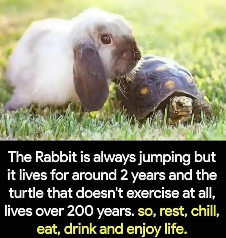 Sumanth_114's tweet photo. I hope this is worthy,Do whatever you want 😌😌😌..
#livelikeamen #bb24 #TwitterTillu https://t.co/DRZm6bmGPg