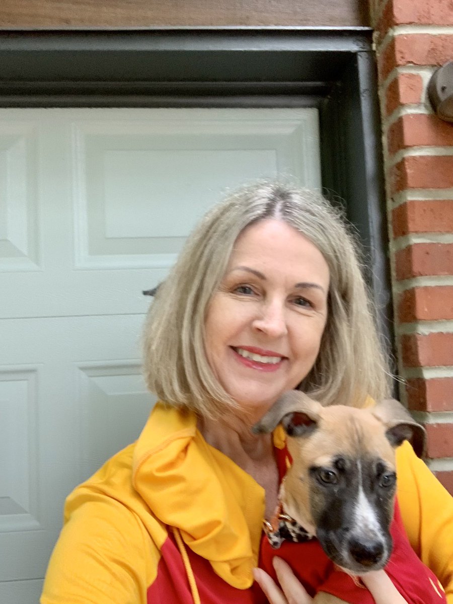 pg_turner's tweet photo. #RedFriday seems like the perfect opportunity to introduce our newest little chief to our pack. 

This is Travis ❤️ don’t let his size or demeanor fool you. He can run and block like dogs 5x his size 😂 he’s just not happy about the rain 

#ChiefsKingdom #traviskelce https://t.co/X2uRQqJHKZ