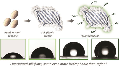 ChemBioChem (@chembiochem) on Twitter photo Towards Non-stick Silk: Tuning the Hydrophobicity of Silk Fibroin Protein (Davis, Kaplan, Kumar) <a href="/SciFountain/">Julia</a> <a href="/m_hawker23/">Morgan Hawker</a> <a href="/wujunqi597/">Junqi (Alicia) Wu</a> <a href="/vittoriochemist/">Vittorio Montanari</a> <a href="/jugalsahoo/">Jugal</a> <a href="/Krishna_Boston/">Krishna Kumar</a> onlinelibrary.wiley.com/doi/10.1002/cb… Towards Non-stick Silk: Tuning the Hydrophobicity of Silk Fibroin Protein (Davis, Kaplan, Kumar) <a href="/SciFountain/">Julia</a> <a href="/m_hawker23/">Morgan Hawker</a> <a href="/wujunqi597/">Junqi (Alicia) Wu</a> <a href="/vittoriochemist/">Vittorio Montanari</a> <a href="/jugalsahoo/">Jugal</a> <a href="/Krishna_Boston/">Krishna Kumar</a> onlinelibrary.wiley.com/doi/10.1002/cb…