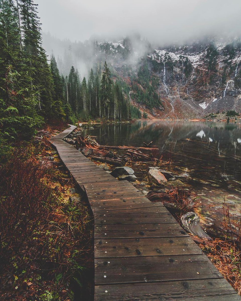 cyn_eva's tweet photo. Lake Twenty-two, Washington. The curiously-named Lake 22 is the center of an oasis of alpine wetland nestled on the northern shoulder of Mount Pilchuck. The hike to the lake combines the best of mountain rainforests, old-growth, wetlands, and mountain views. https://t.co/5PuTa2KswC