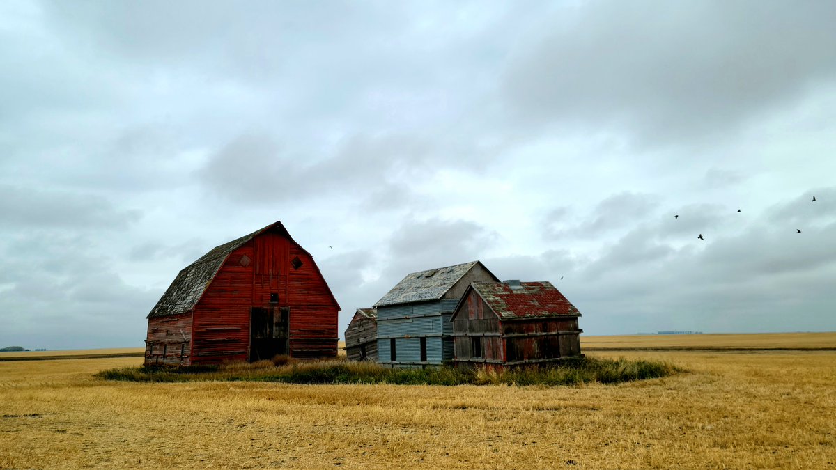 JC_in_Rothesay's tweet photo. Quintessential Sask photo https://t.co/Nuz9lPLwbK