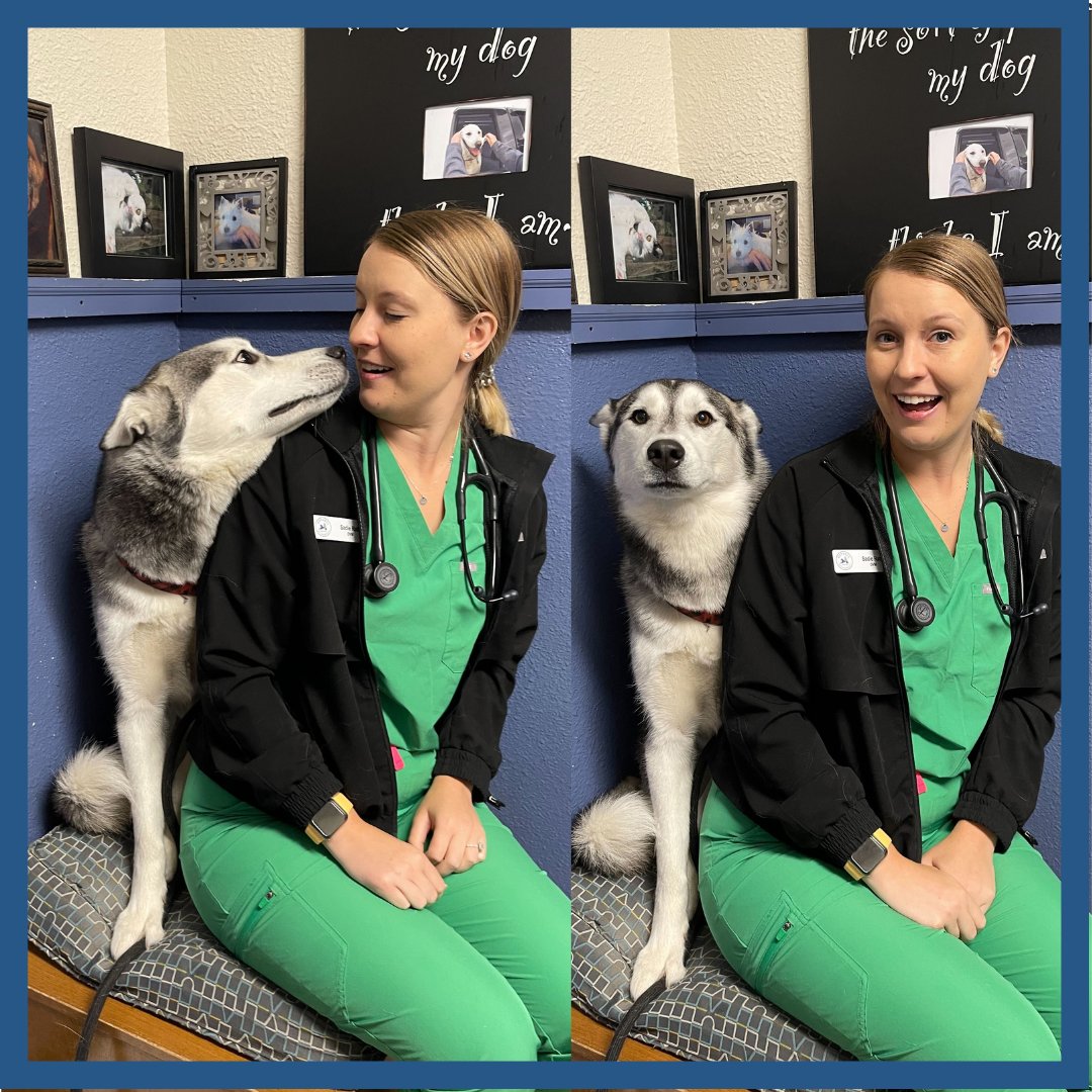 BothellPetHosp's tweet image. Dr. Rath and her "assistant" Finn. Finn was serious about business. #bothellpet #veterinarians #bothell #dogsofbothell #woof #weloveourteam #weloveourclients