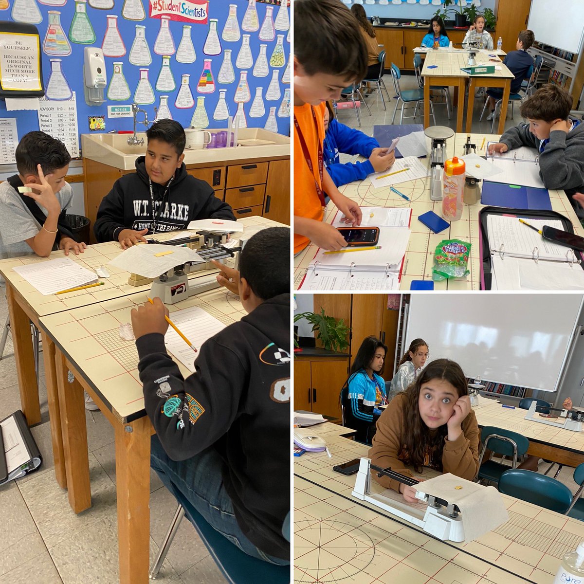 Maria Santodonato tweet media