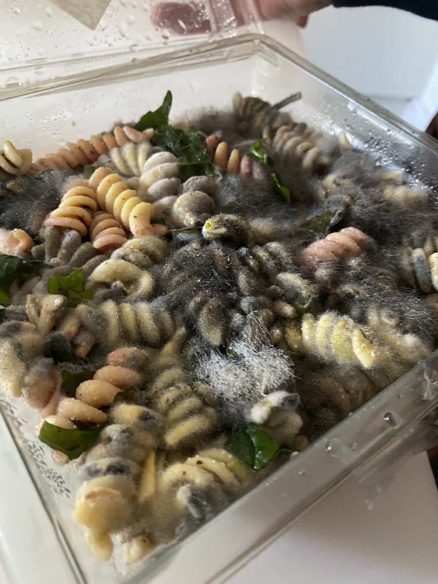 elizabethtoria's tweet photo. @sainsburys utterly disgraceful. Ordered in advance for a wedding party today, and this is the condition of one of the items. Had to fight on customer service for a refund, considering the state of this &amp; ruined the wedding party this in itself is unacceptable. #sainsburys #mold https://t.co/467kTUbC0T