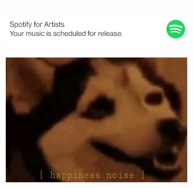 Surku (@surkumusic) on Twitter photo 