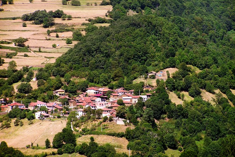 Ponga in northern Spain is beautiful but remote (Image: Getty Images) We can see the red clay rootops shine through the lush green tree tops. The fields surrounding the town look like they have grown some kind of hay, it's a lovely light caramel. 