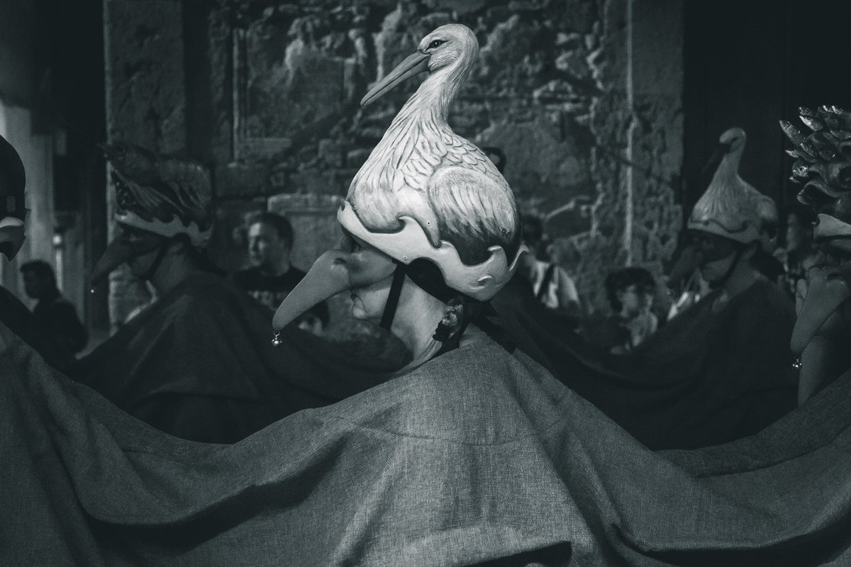 Ricard Lahoz tweet media