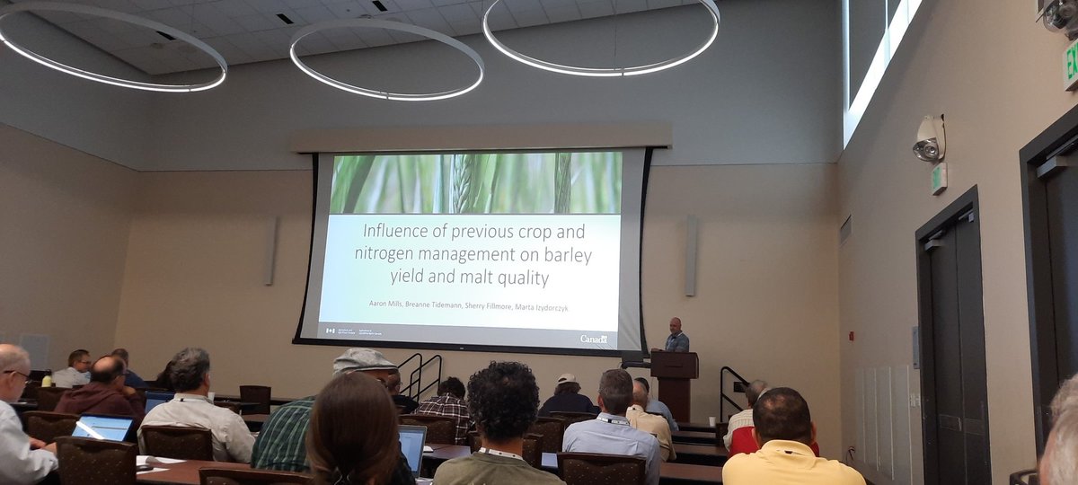 FungusAmungus3's tweet photo. North American Barley Researchers Workshop at UC Davis.  Colleague Dr. Aaron Mills from AAFC Charlottetown talking about previous crop and N.managment in malting barley.   Follow up to work by my retired colleague John O'Donovan. https://t.co/BkEGSssadz