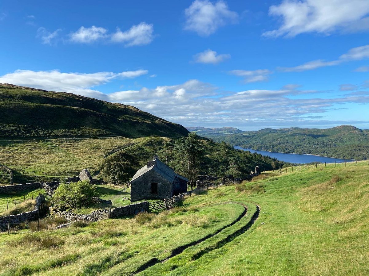 MadamFafa's tweet photo. Dodgsons Wood #cottageintheclouds https://t.co/swyzCnHTQ1