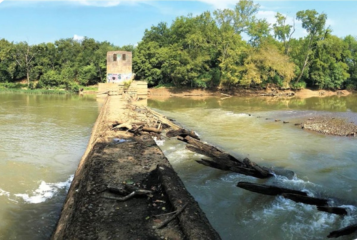 SFSEmerge (@emergesfs) on Twitter photo Job alert!
"If you’re looking for a career where you can find meaning and purpose, join <a href="/nature_org/">The Nature Conservancy</a>'s Southern Appalachian Whole System team as the Director of Freshwater."
📸: Terry Cook/TNC (Tennessee Impact Report, FY2021) nature.org/Tennessee
tinyurl.com/FreshwaterDire… Job alert!
"If you’re looking for a career where you can find meaning and purpose, join <a href="/nature_org/">The Nature Conservancy</a>'s Southern Appalachian Whole System team as the Director of Freshwater."
📸: Terry Cook/TNC (Tennessee Impact Report, FY2021) nature.org/Tennessee
tinyurl.com/FreshwaterDire…
