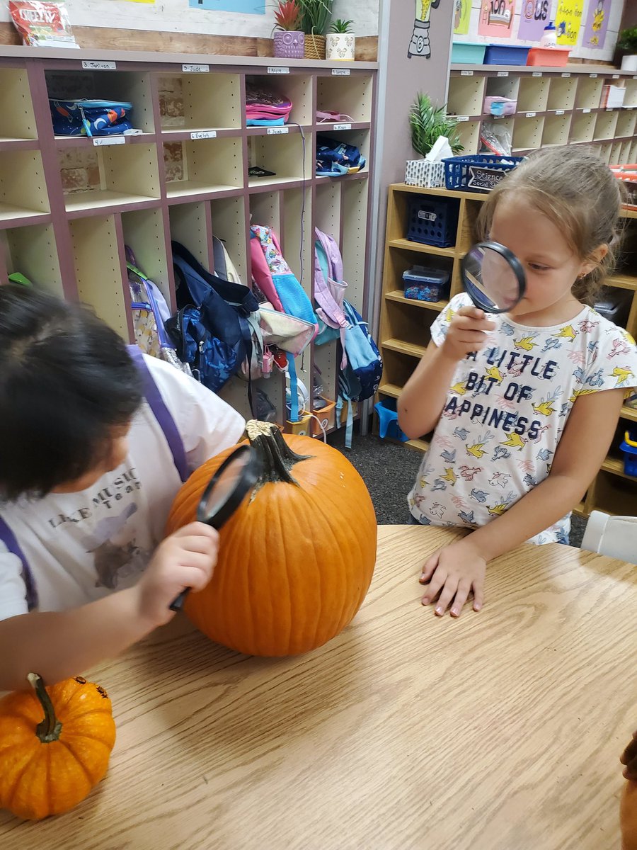 mrs_douglas22's tweet photo. Our little detectives had so much fun comparing the traits of pumpkins! We made inferences on why we think pumpkins can look so different &amp; learned that they turn orange because of a substance called carotene! It was a great day. 🕵‍♂️🕵‍♀️🎃 @OKESOwls #science #1stgrade https://t.co/UkzSUpnk4P