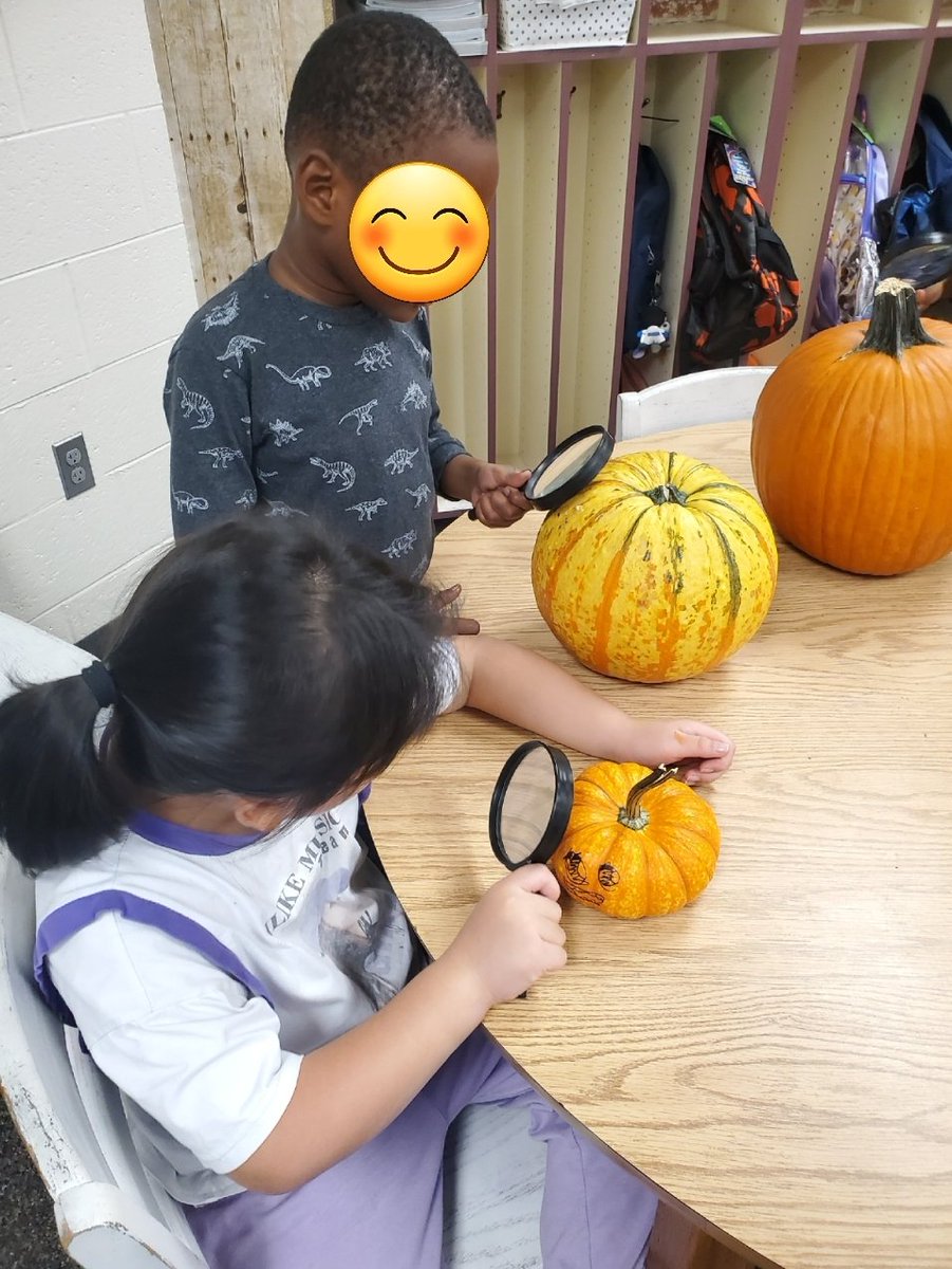 mrs_douglas22's tweet photo. Our little detectives had so much fun comparing the traits of pumpkins! We made inferences on why we think pumpkins can look so different &amp; learned that they turn orange because of a substance called carotene! It was a great day. 🕵‍♂️🕵‍♀️🎃 @OKESOwls #science #1stgrade https://t.co/UkzSUpnk4P