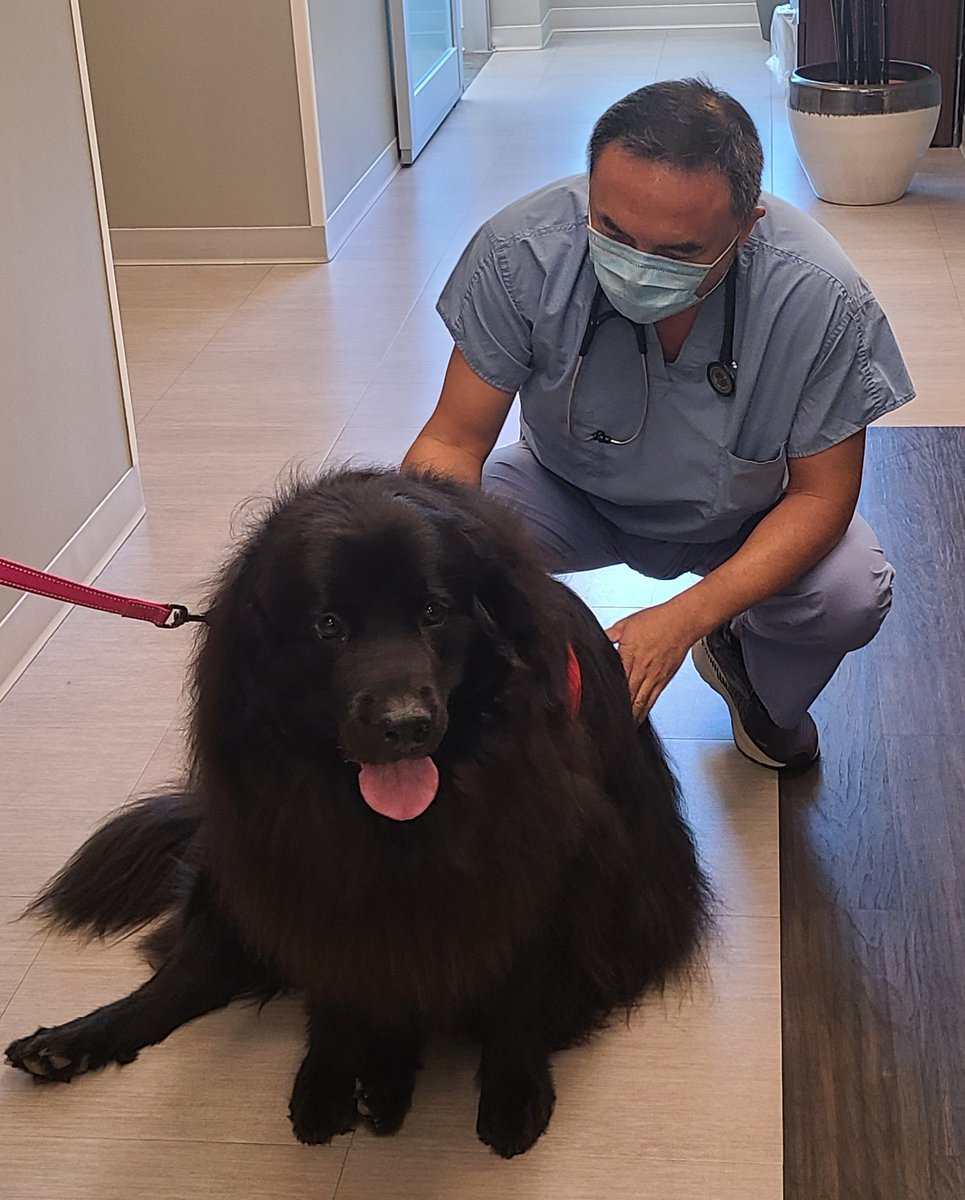 Bon Secours on Twitter "We love when a canine comes to visit the Bon