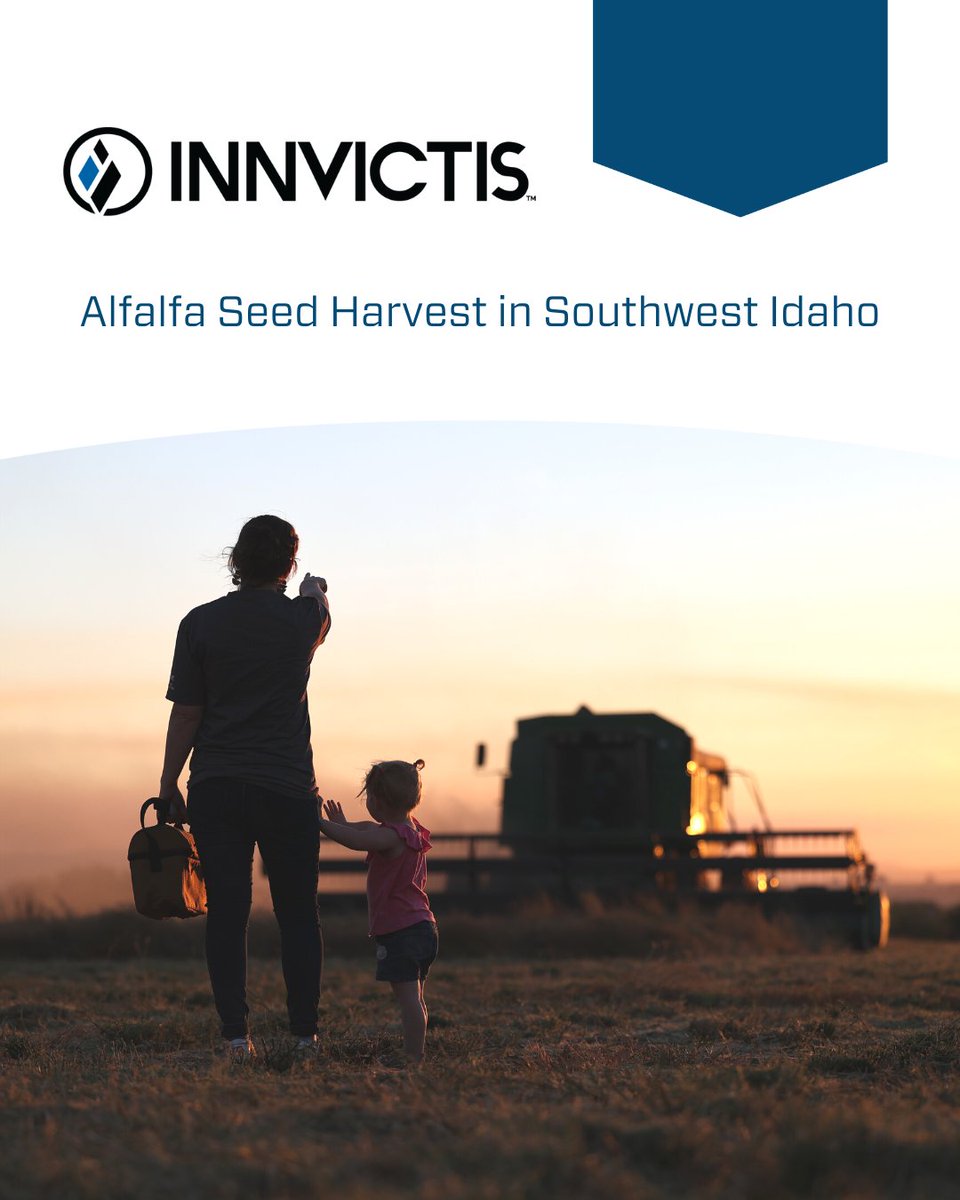 Innvictis's tweet photo. During harvest, farmers give up meals at their table so we can have meals at ours. 🤝 This photo was taken during alfalfa seed harvest in Southwest Idaho. Thank you farmers for all you do in keeping families fed!
.
.
.
#innvictis #seedprotection #alfalfaseedharvest #idaho https://t.co/KQBvT1NN2i