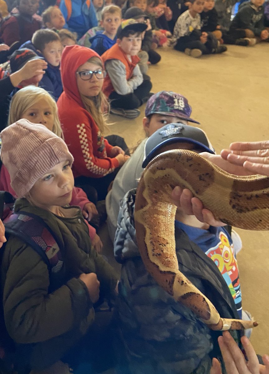MsGrieco's tweet photo. Milton Fall Fair fun, it was a blast today! Make sure to check for a free child admission pass in studentβs backpacks. π ππ We met so many animals and got to see a firetruck! @OLVMWolverines @HCDSB #miltonfallfair https://t.co/F3YZQMBeWZ