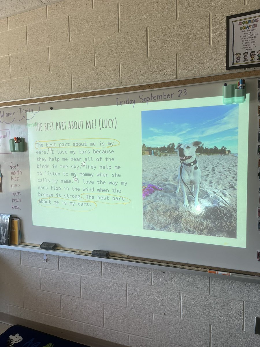 MsEllisM's tweet photo. Today we talked about descriptive writing, and Lucy made her first appearance of the year 🐾 https://t.co/JEASM6HR0T