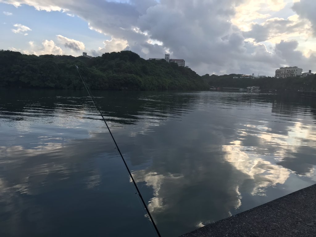 aws719's tweet photo. 朝活！ https://t.co/61UPbcRwgb