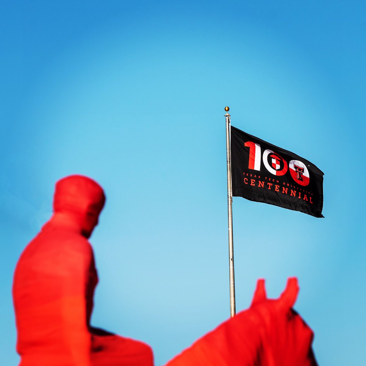 Texas Tech Admissions 🌵 tweet media