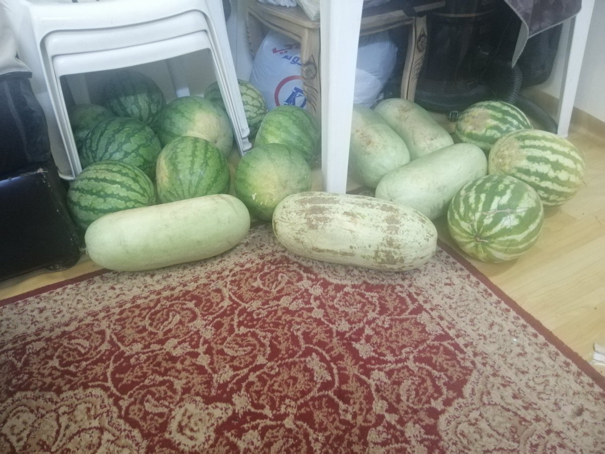 om_Galambo's tweet photo. قلت لبابا اني بحب البطيخ 😂♥🥰 https://t.co/QnwxOmAHeU