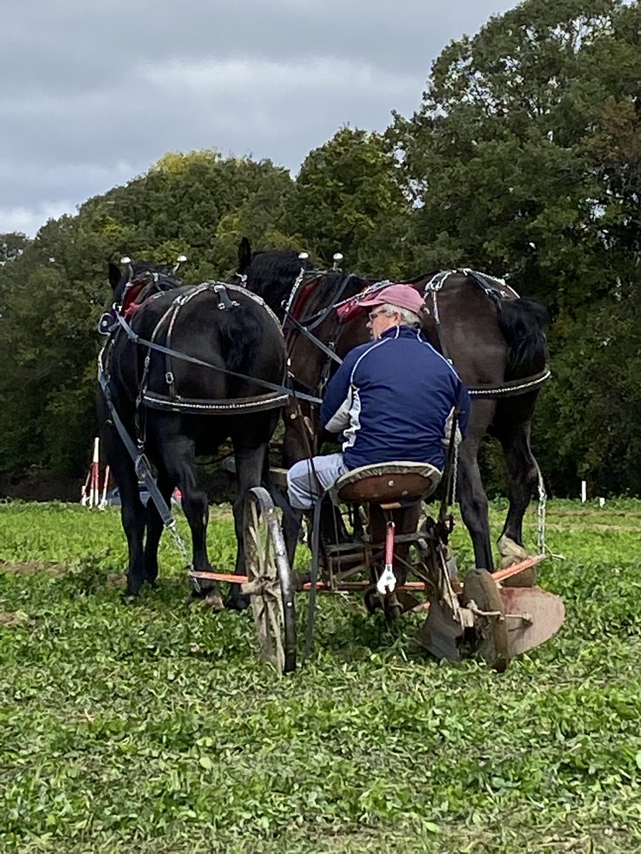 HRH_Frankie's tweet photo. Great day at the #internationalplowingmatch cheering on our cousin Bob and his team!
#ipm #kemptville #ontarioplowmansassociation #percherons #sulkyplow https://t.co/mpcmKoOzKM