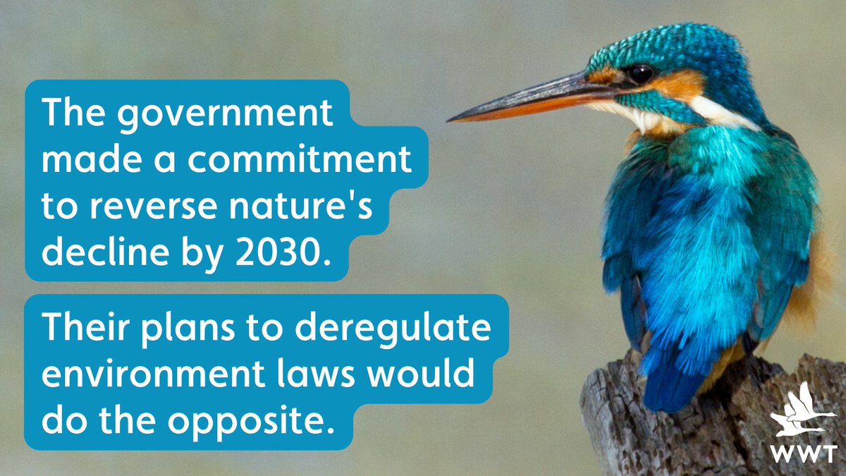 "Legislative vandalism"
"A deregulatory free-for-all"
"An attack on nature"

These are just some of the responses to the news that the government plans to scrap laws protecting wildlife ▶️ ow.ly/uh3450KRUEA