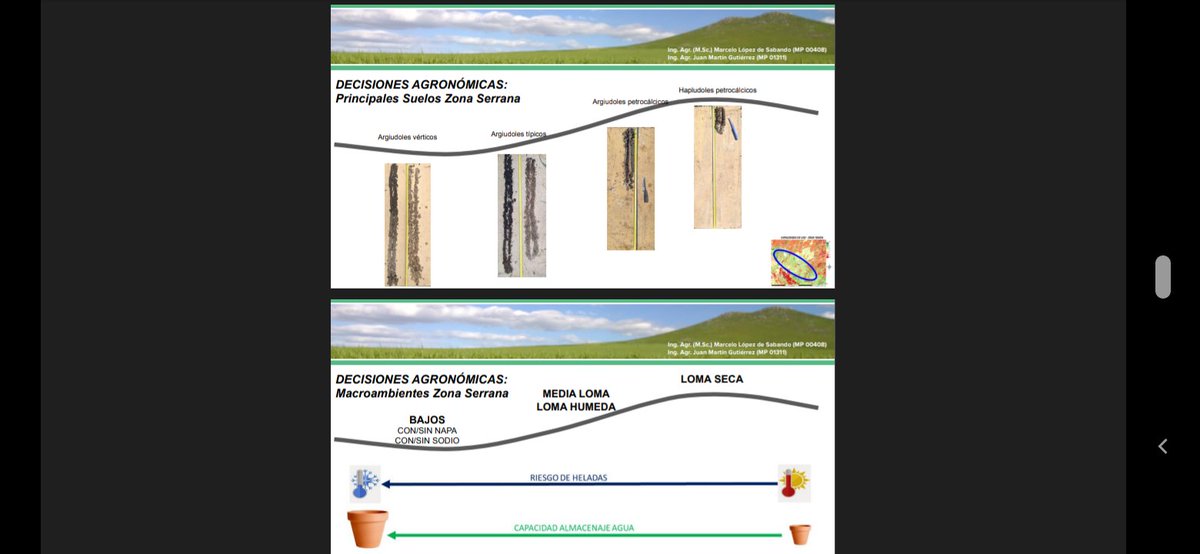 jmg_agro's tweet photo. Avanzamos sobre un proceso que se enfoca en la correcta decisión agronómica.
Primero delimitamos macro ambientes que definan decisiones de estructura de cultivos (rotaciones, fechas, cultivares) en función de las variables que más influyan en cada caso particular.

Sigue... https://t.co/tbr5P6WtFR