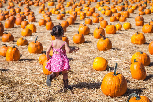 SurfnSunshine's tweet photo. RT @Frommers: Any plans for the #weekend?
Here are the top #appleorchards,#CornMazes, #pumpkinpatches and other visitor-accepting farms across the #USA.
How to find the best farm for your family: https://t.co/ILW5TR8rrY
#HayRides #ApplePicking #Cider⦠https://t.co/m4Fsr00gDY