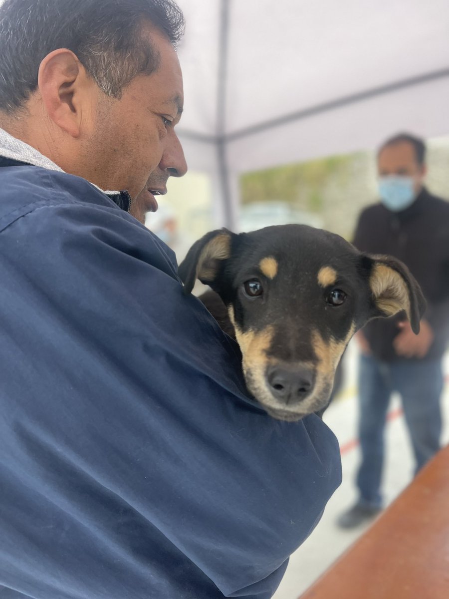 Hoy es el día mundial del perro adoptado.
¿Tu ya tienes un amigo de cuatro patas? 
Recuerda que en Cuenca tenemos muchos animalitos que esperan un hogar.

Aquí les dejo algunas fundaciones en las cuales pueden adoptar.
<a href="/RescateCuenk/">Fundación Rescate Animal Cuenca</a> 
@FundacionARCA 
#Diamundialdelperroadoptado