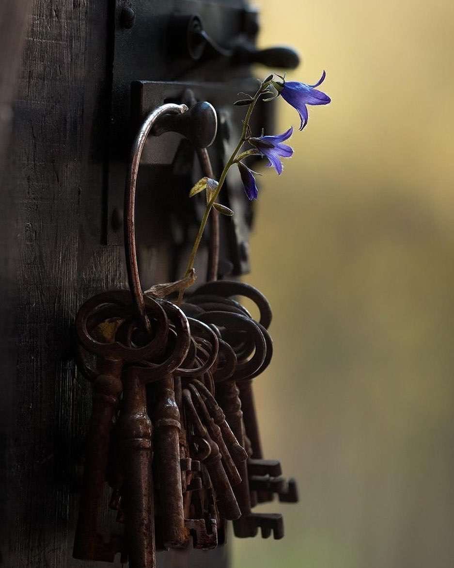 يكفينا من أغصان الحياة غصنا واحد..
نعلق عليه عالمنا ..