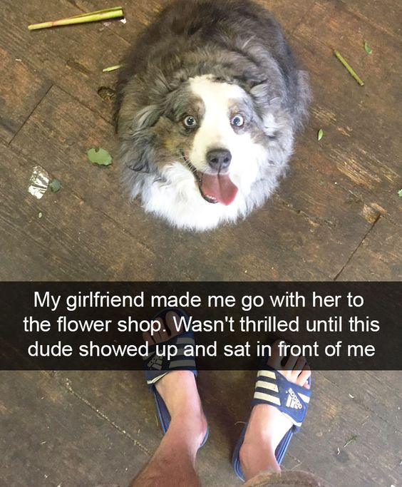 WholesomeMeme's tweet photo. https://t.co/0BybONwmiJ