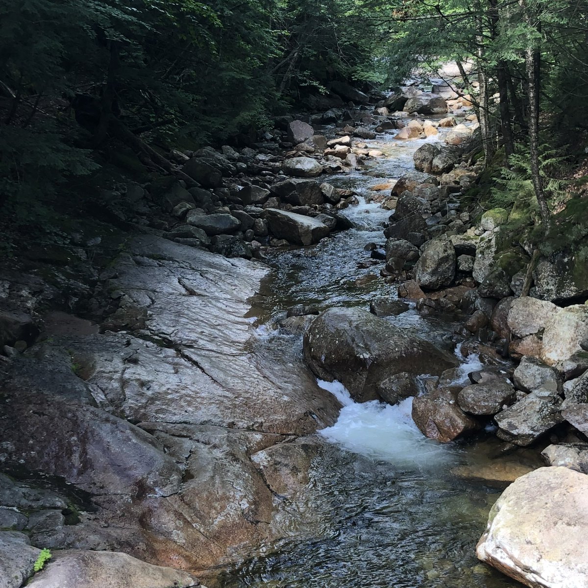 maebelhaynes's tweet photo. @Miss_Mcfadyen Connecticut, USA https://t.co/8MnfNl8i2m