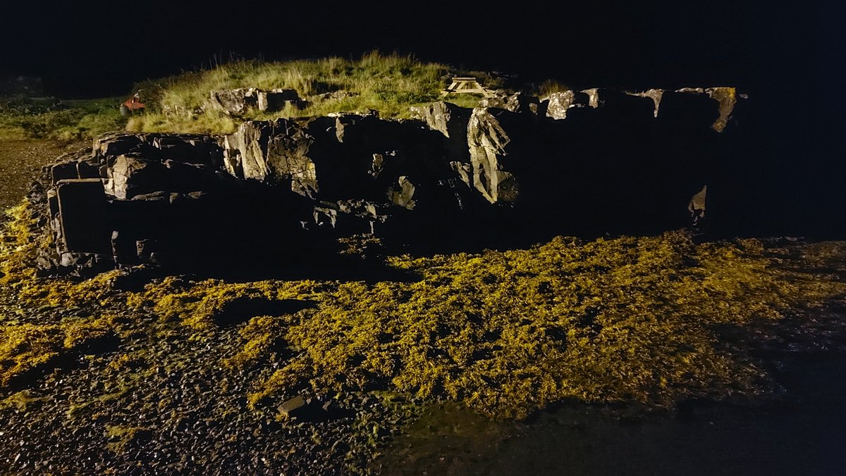 Excellent eve in @isleofulva with Dr Alasdair Whyte on Gaelic placenames and Gaelic song! A superb evening, excellent food and company. Never been on the wee ferry at night either. Thanks Rhuri. Pics: Ulva, slipway, slipway & seaweed at night!