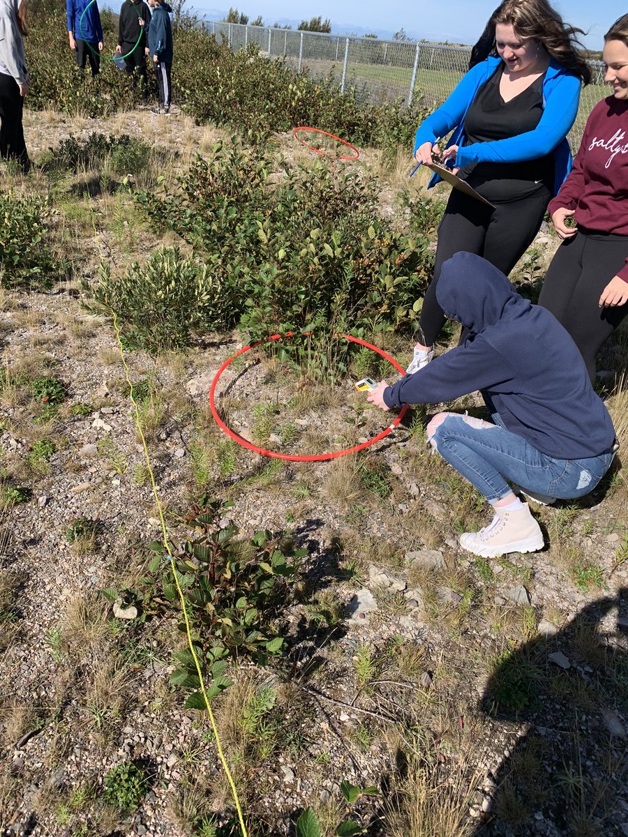 mssheppard_'s tweet photo. Biology 2201 students learning sampling skills while exploring ecosystems in their schoolyard… they then passes these skills on to the grade 7s @BaccalieuSchool @NLESDCA #deeplearning #biology2201 https://t.co/FpDNTB1tCj