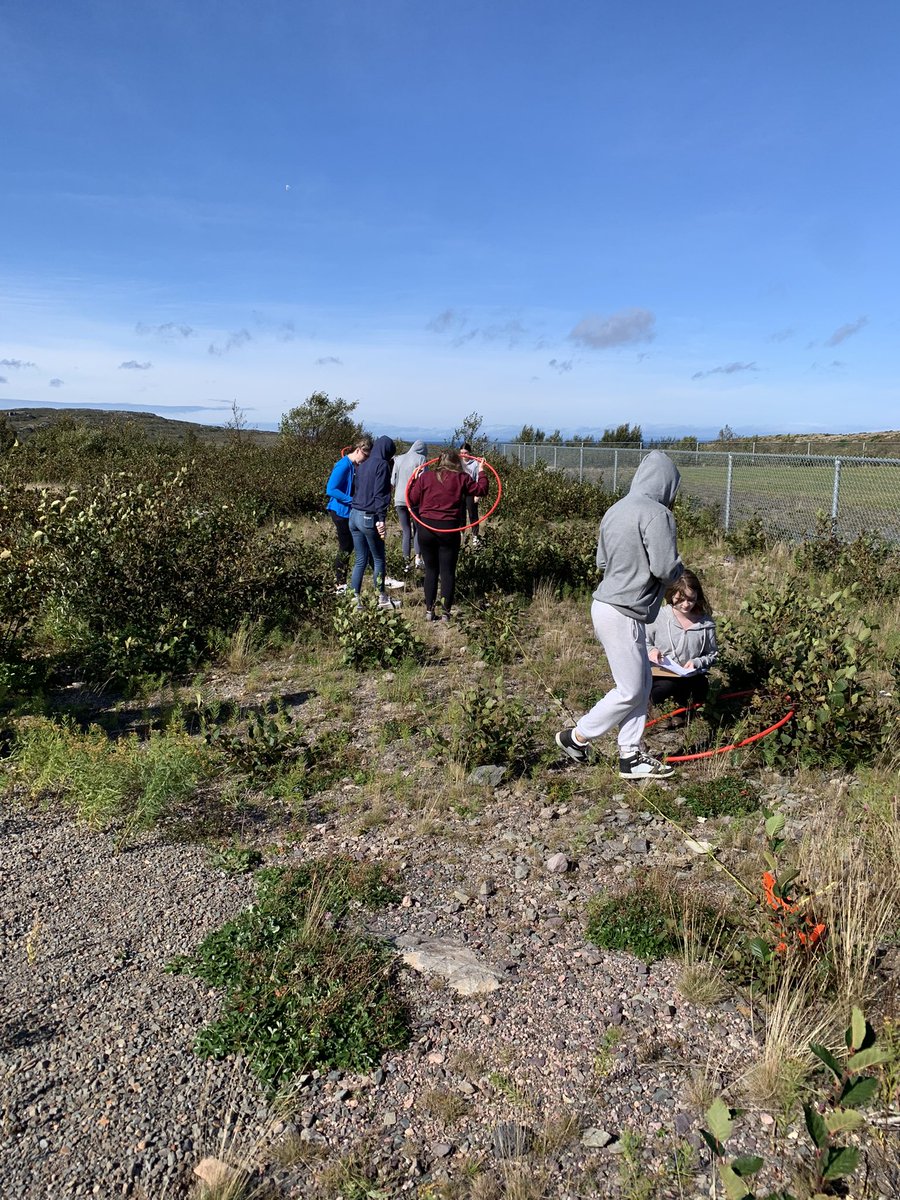 mssheppard_'s tweet photo. Biology 2201 students learning sampling skills while exploring ecosystems in their schoolyard… they then passes these skills on to the grade 7s @BaccalieuSchool @NLESDCA #deeplearning #biology2201 https://t.co/FpDNTB1tCj