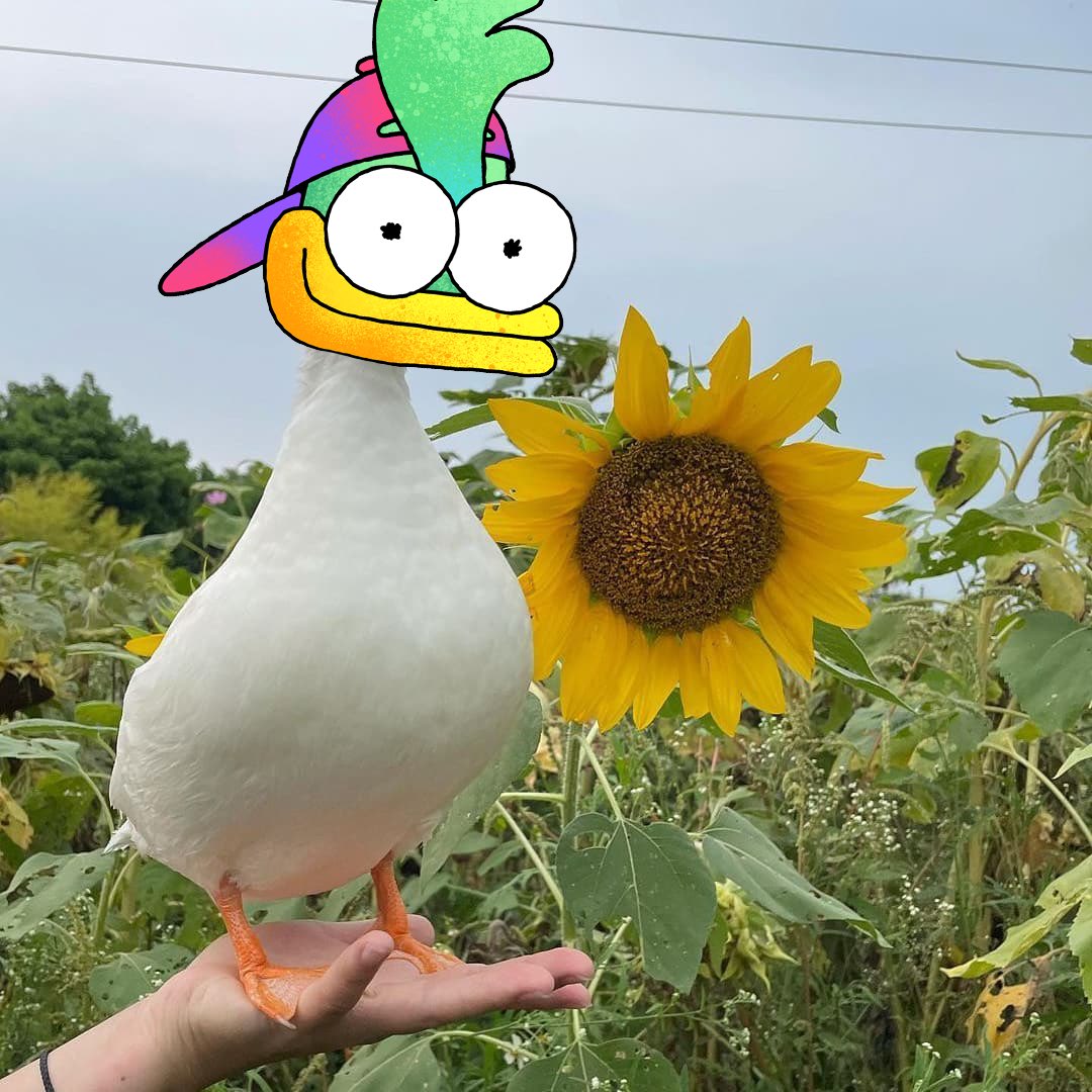 Felt cute!