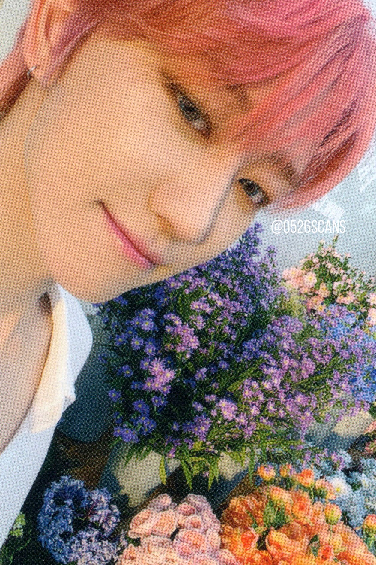 seventeen pc scans on X: 