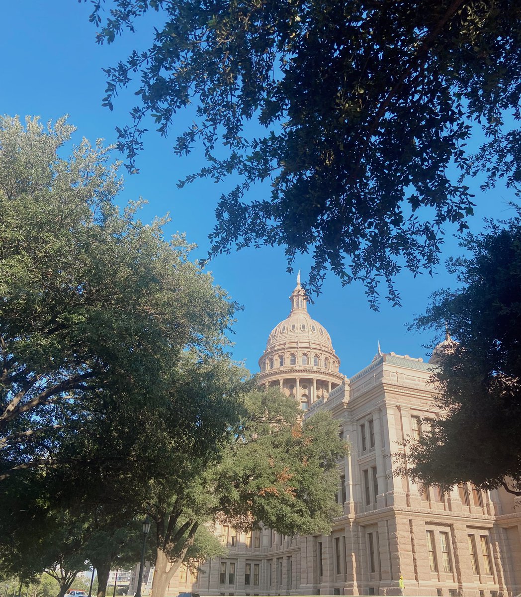 sofiavarkar's tweet photo. Reporting at the Texas Capitol today on obstacles to the reporting of domestic violence and how these obstacles contribute to the difficulty in obtaining and enforcing a protective order. https://t.co/a3dxU3uK2t