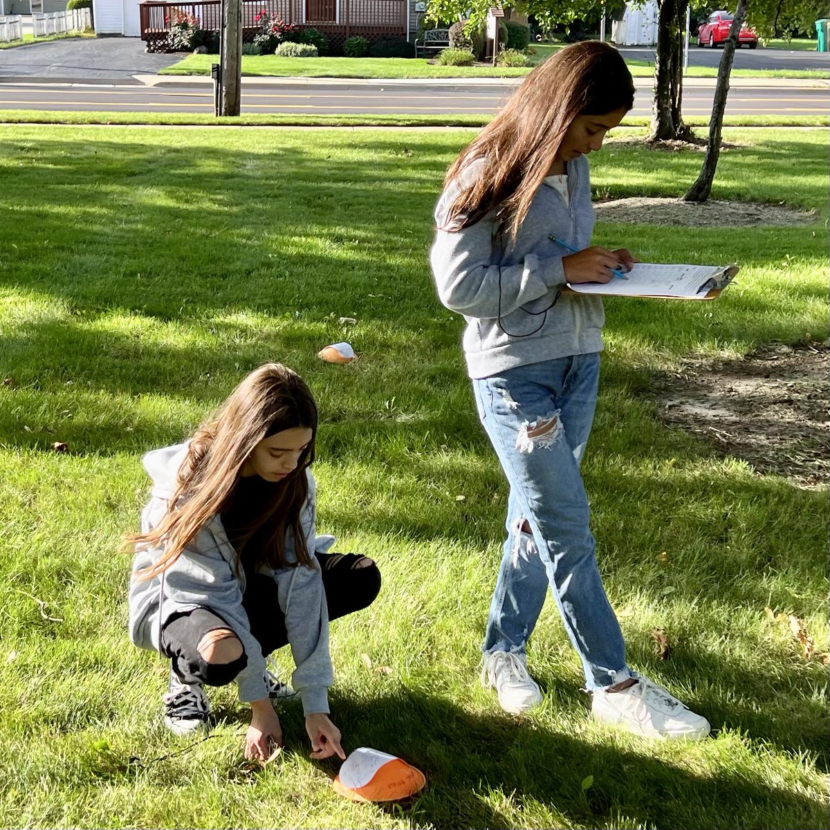 Dain Elman tweet media